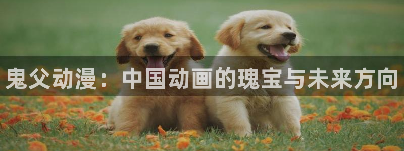 91动漫网：鬼父动漫：中国动画的瑰宝与未来方向