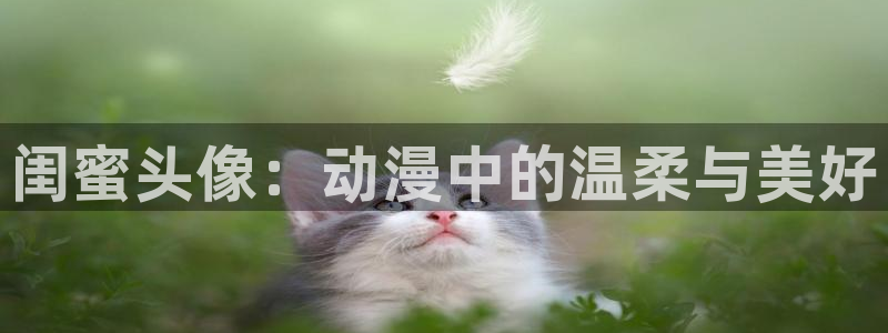 91动漫污污：闺蜜头像：动漫中的温柔与美好